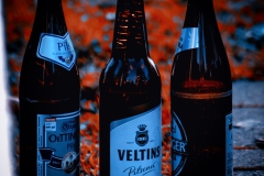 Bier