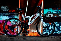 Fahrrad1