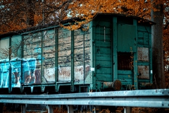 Train5