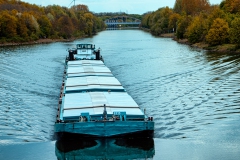 schiff